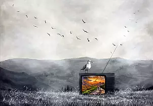 Martyna Mączka - Our story