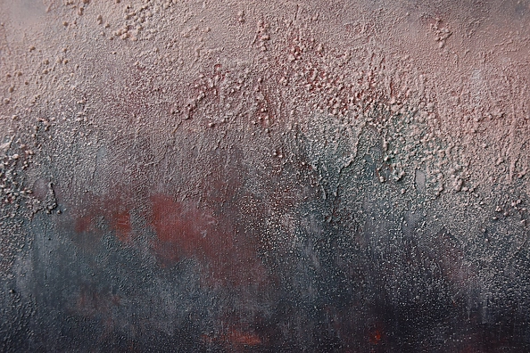 Kamila Ossowska - The nature of light