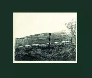 Grażyna Majewska - Natura II