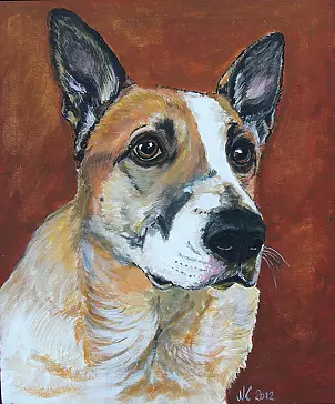 Katarzyna Niemczak - Nemo