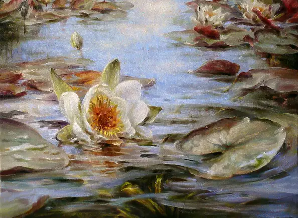 Maria Gruza - Nenufary