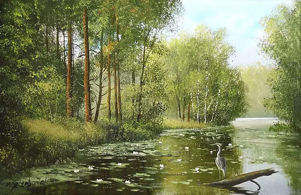 Marek Szczepaniak - Water lilies