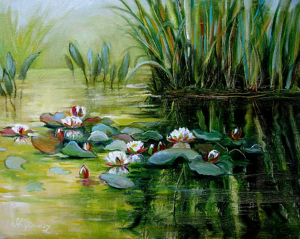 Małgorzata Wójtowicz Cichoń - Nenufary