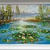 Sebastian Szczepański - Water lilies