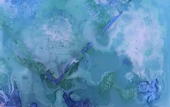 Rachel McCullock - Neptune's Desire