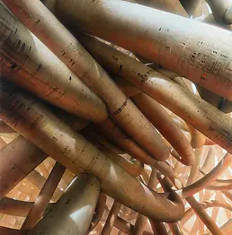 Peter Gric - Network VI