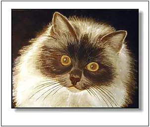 Jolanta Dusza - Neva Masqarade