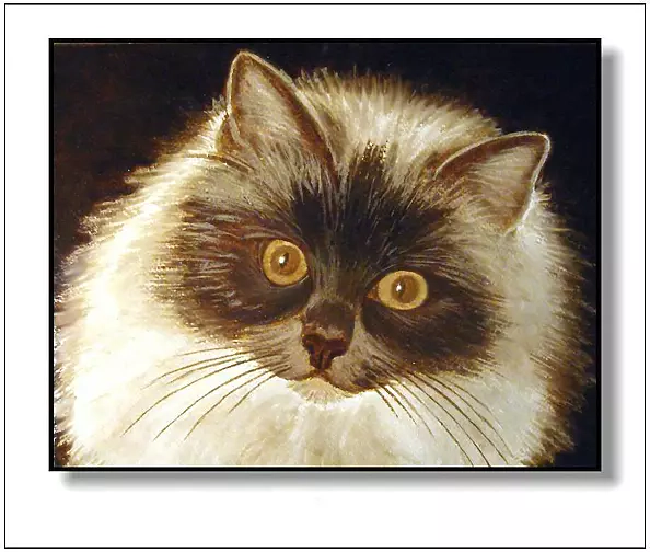 Jolanta Dusza - Neva Masqarade