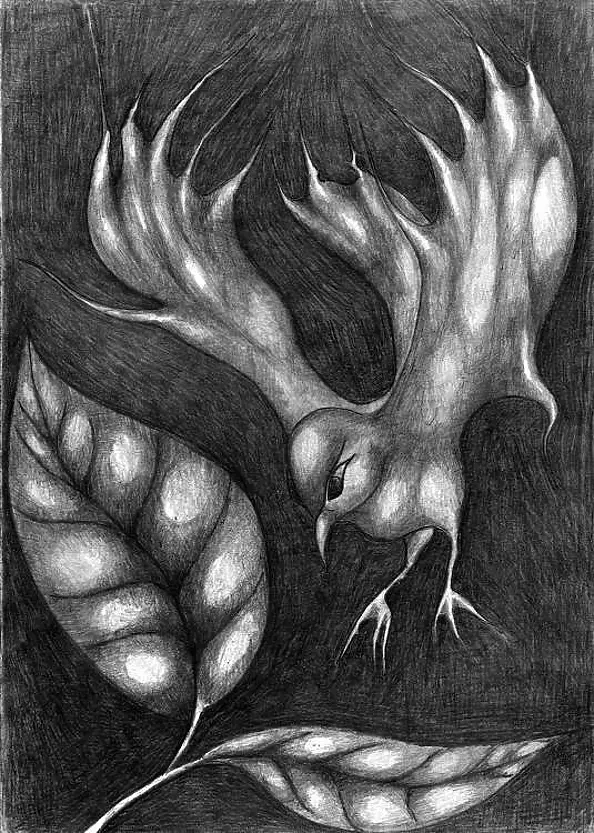 Wojtek Kowalski - Like Bird