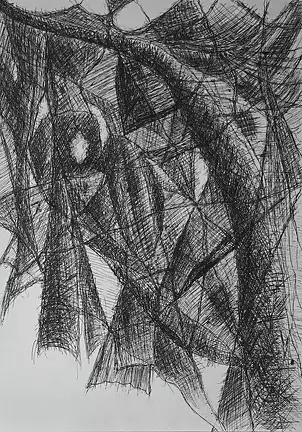   - nematodes friendship