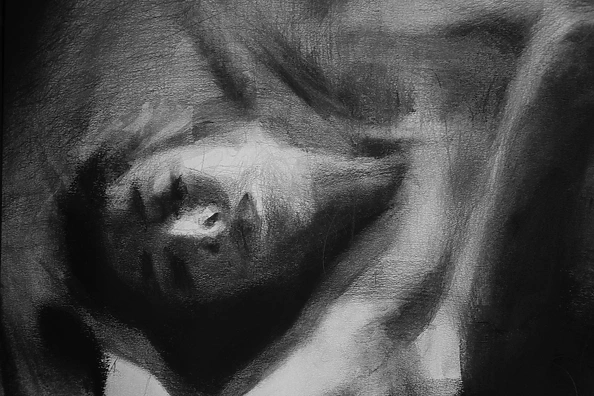 Kamila Ossowska - Nothingness time