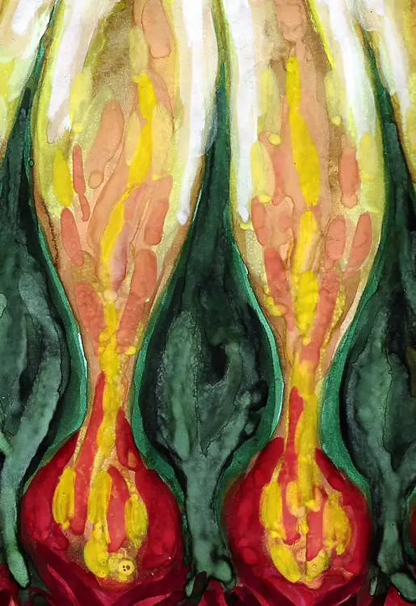 Wojtek Kowalski - Not so