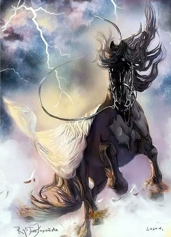 Teresa Kopańska - You won't catch wild horses