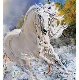 Teresa Kopańska - Non fermare i cavalli ...