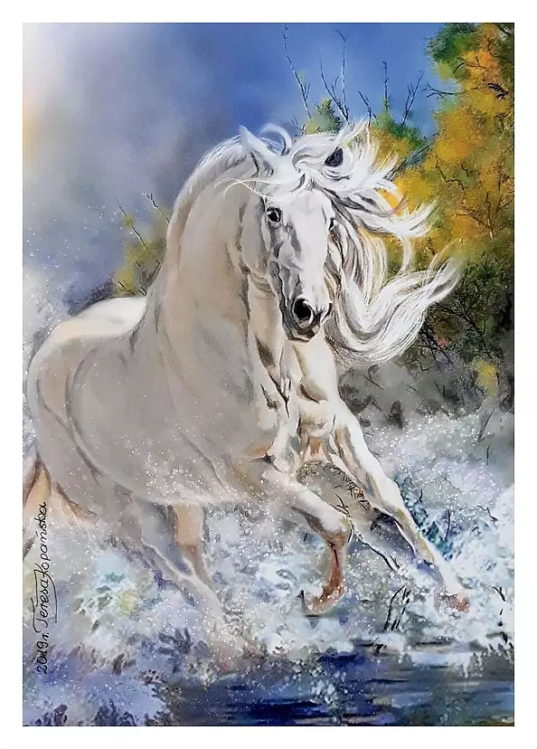 Teresa Kopańska - Nie zatrzymuj koni.. 