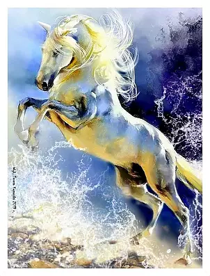 Teresa Kopańska - Do not keep horses