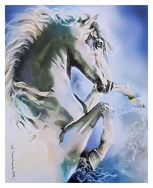 Teresa Kopańska - Do not keep horses