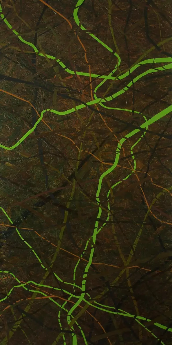 Bożena Mazurkiewicz - impatience Dreams