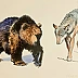 Rafał Czwichocki - Bear and wolf