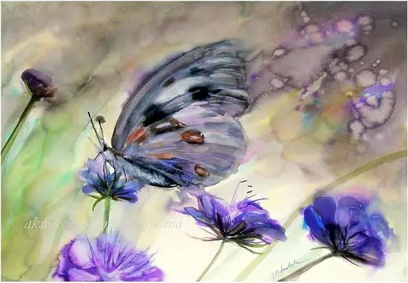 Joanna Magdalena - Non-obvious