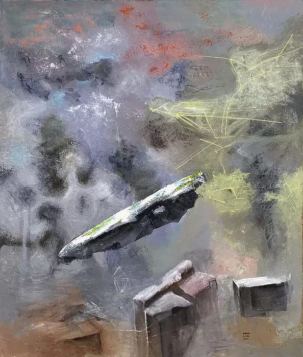 Anna Lupa Suchy - Nieokreślona przestrzeń