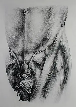 Wiesław Teofilak, Bat, Pencil - cardboard/paperboard, 70 x 100