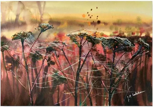 Joanna Magdalena - Elusiveness