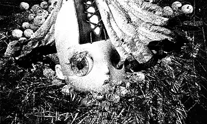 Adam Kurłowicz - The Unbearable Viscosity of Being