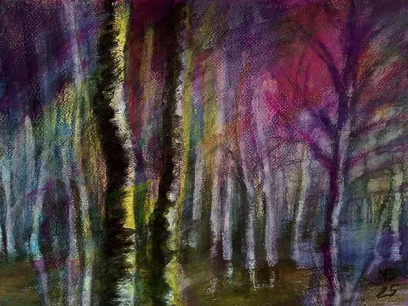 Marzena Salwowska - The Fading Memory of a Forest