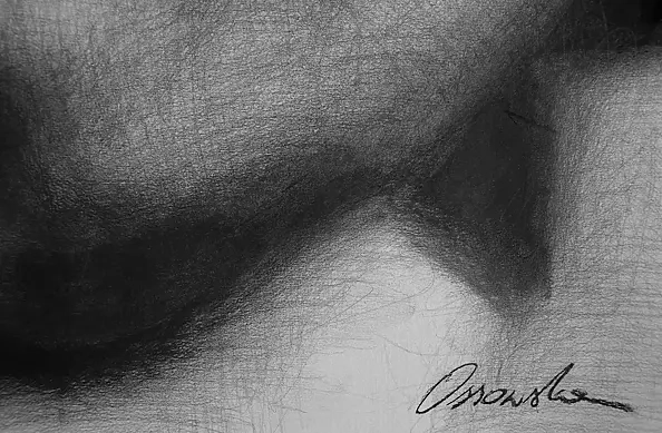 Kamila Ossowska - Destruction of the angel