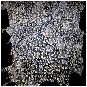 Agnieszka Głowacka - Niwa 2103