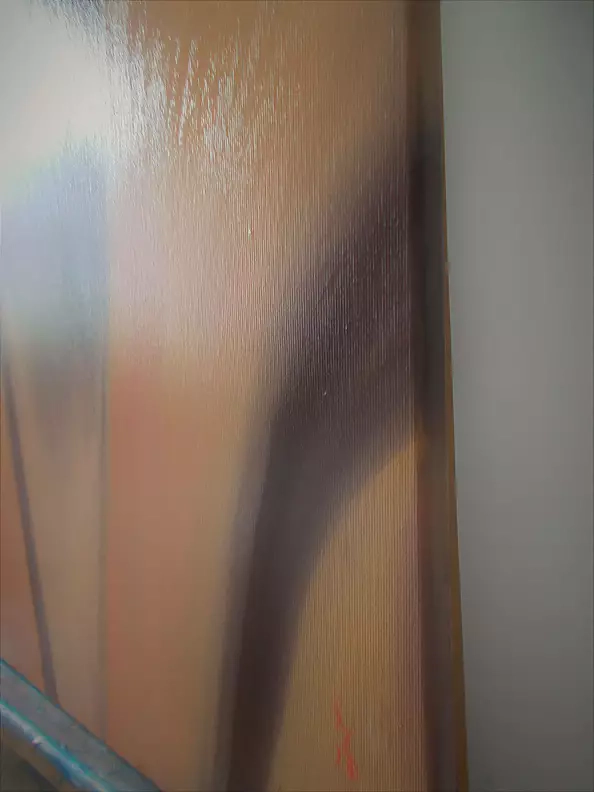 Danuta Zgoł - NoAmy