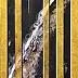 Jacek Rutkowski, Nr.: 260602, Acrylgemälde - Leinwand, 40 x 80