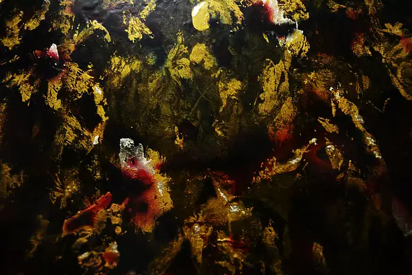 Drozdova Mariia - № 5