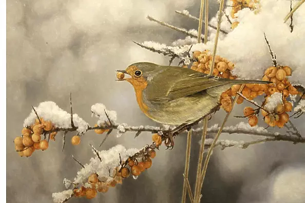 Maciej Cichocki - A bird with a bead