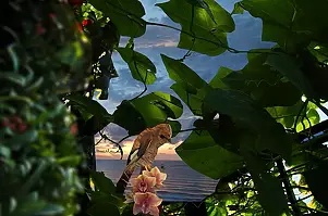 Mia Nelle Droschler - No title VIII