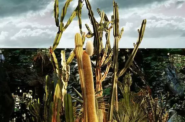 Mia Nelle Droschler - No title VI