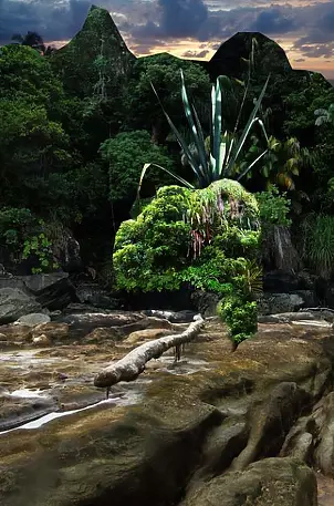 Mia Nelle Droschler - No title X