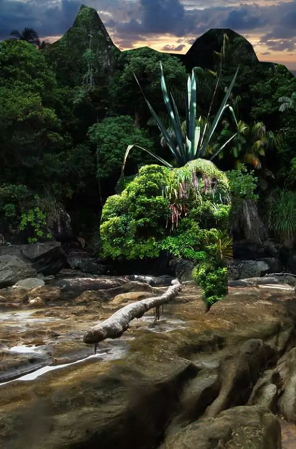 Mia Nelle Droschler - No title X