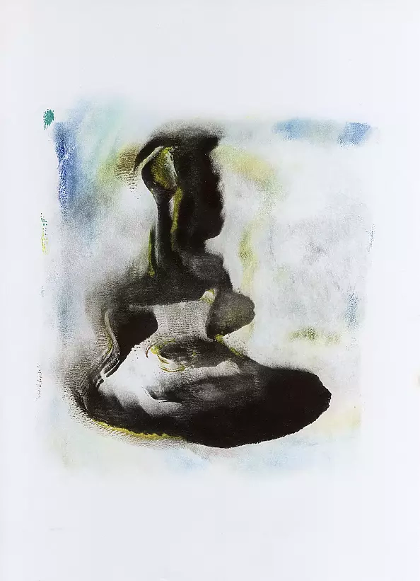 Damian Kozaryn - No title