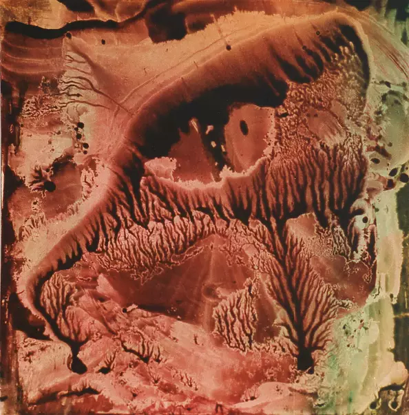 Danuta Tworke - No title