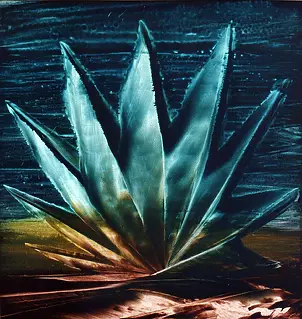 Danuta Tworke - Bez tytułu