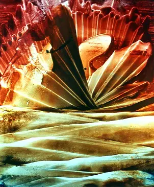 Danuta Tworke - BEZ TYTUŁU