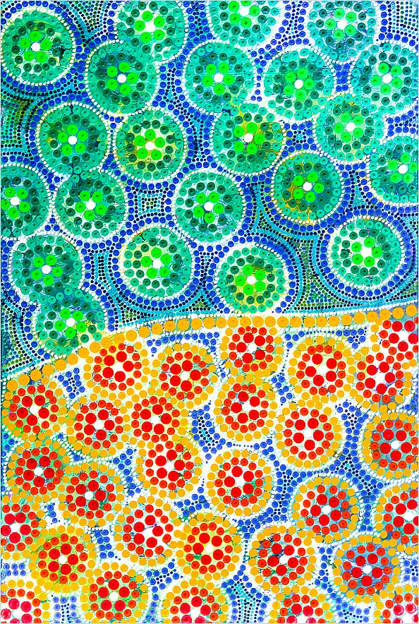 Mariusz Czajkowski - Modern Aboriginal Inspirations # 20