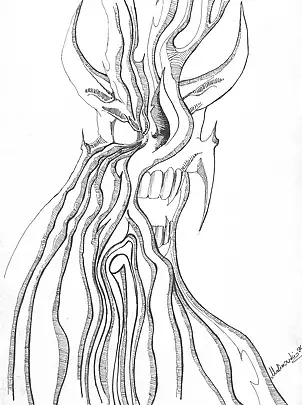 Mariusz Malinowski - No title