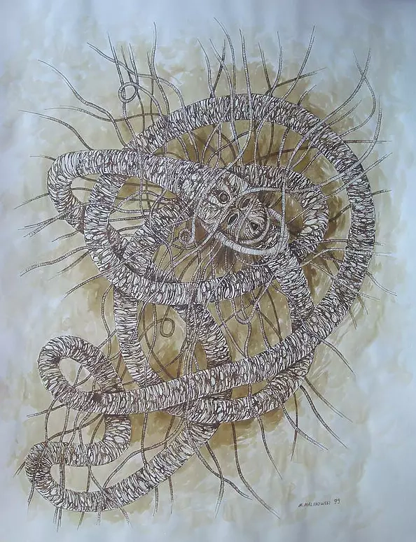 Mariusz Malinowski - No title