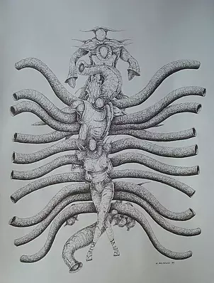 Mariusz Malinowski - No title