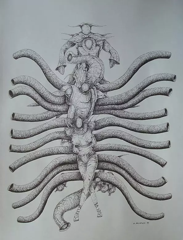 Mariusz Malinowski - No title