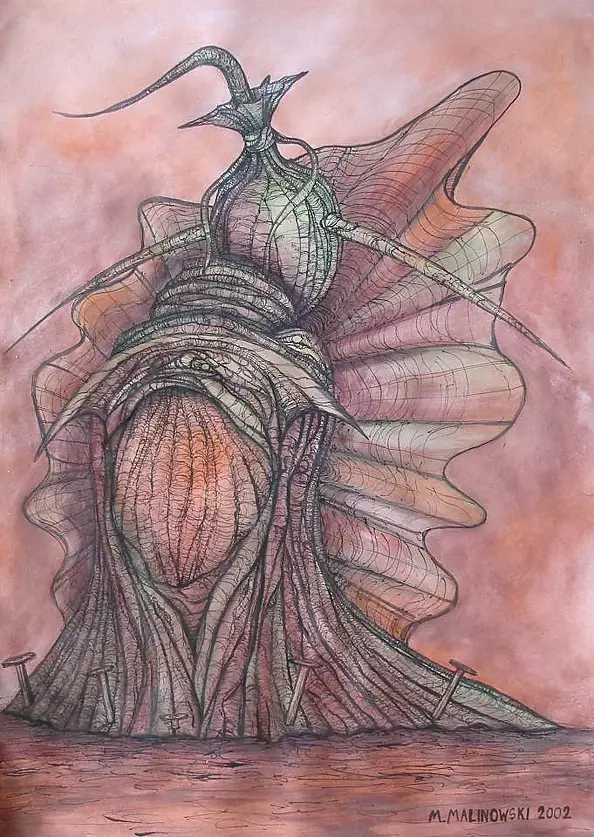 Mariusz Malinowski - No title