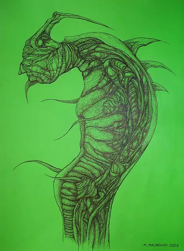 Mariusz Malinowski - No title